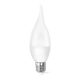 AIGOSTAR LED izzó CL37 E27 3W 270° hideg fehér