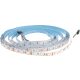 LED SZALAG DAISY 12V 60LED/M IP20 RGB 5M 10W/M 