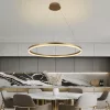 LED DESIGN FÜGGŐLÁMPA+vezérlés 55W