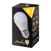 LED IZZÓ 8W-G45/E27/SMD/3000K