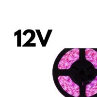 12V