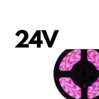 24V